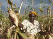 How to grow communal land use
