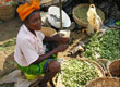 Africa can feed itself -- and it should
